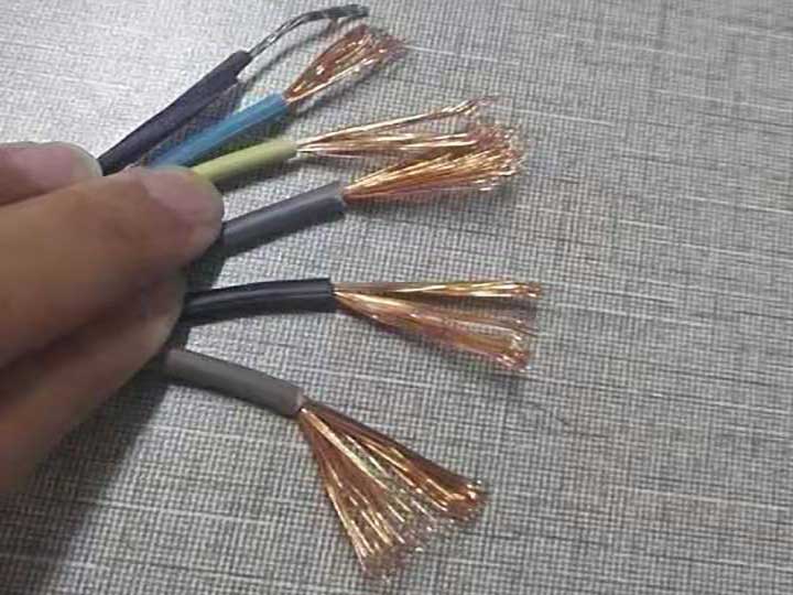 香蕉视频色版下载