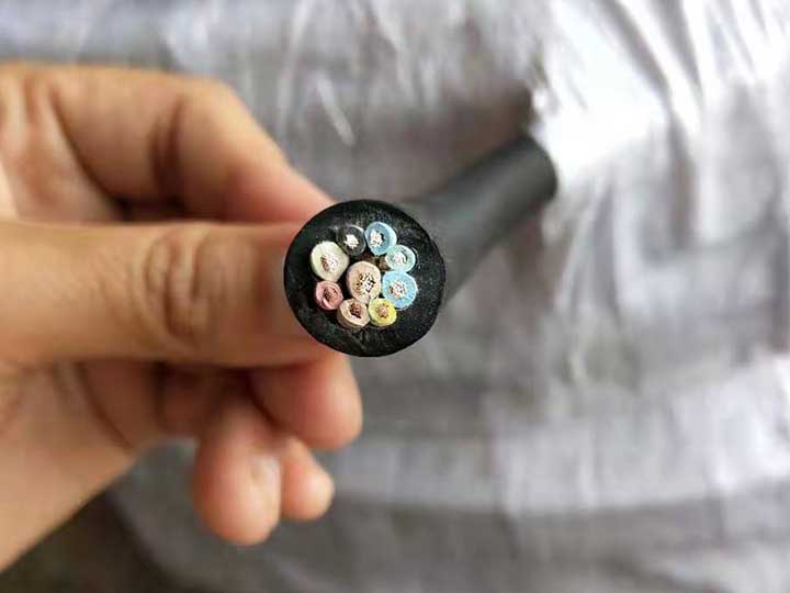 香蕉视频色版下载