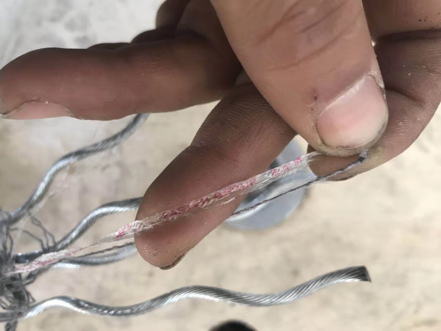 在线香蕉视频网站